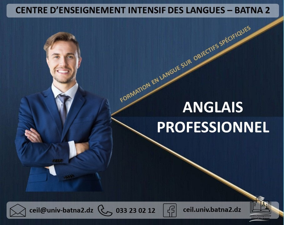 anglais_professionnel