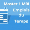 M1MRI